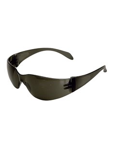 Gafas protección CLIMAX 590-G
