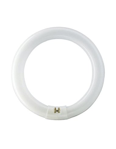 Tubo fluorescente circular trifósforo TL-E PHILIPS luz fría 22 W. 12 unidades