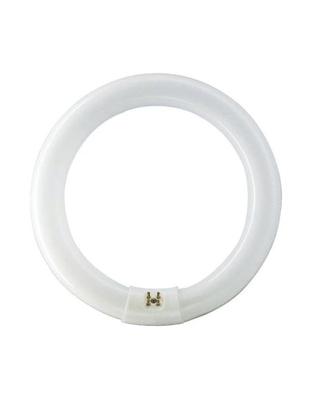 Tubo fluorescente circular trifósforo TL-E PHILIPS luz fría 22 W. 12 unidades