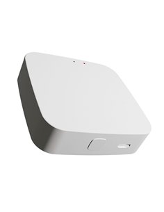 Asistente control remoto MESH con USB