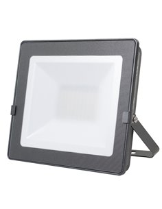 Foco proyector exterior LED DUOLEC Star Line 4000K 50 W 5500 Lm