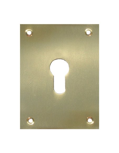 Placa bocallave MICEL 80x80mm Acabado/s Latón pulido