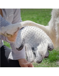 Guante INNOVAGOODS para cepillar y masajear mascotas