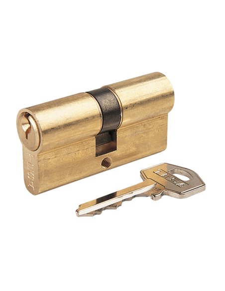 Cilindro sistema TESA ASSA ABLOY TE-5 niquelado 30-40 mm 70 mm