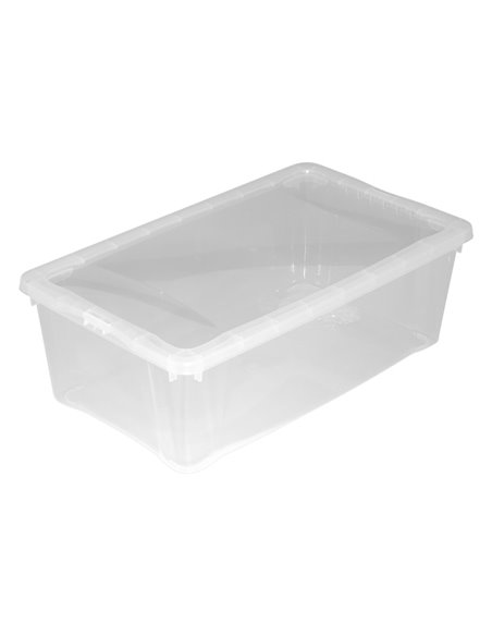 Caja ordenación multiusos transparente Dimensiones 33x20 CM